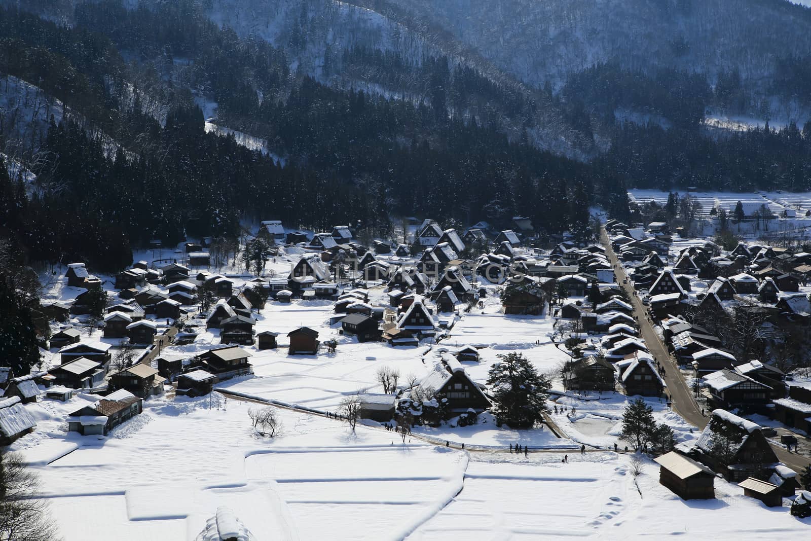 View from the Shiroyama Viewpoint at Gassho-zukuri Village, Shirakawago, Japan