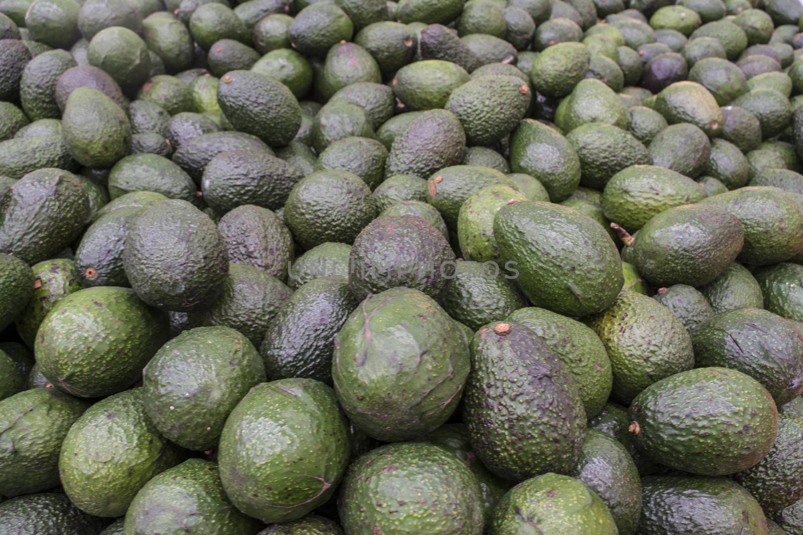 Group of avocados from a super market store.