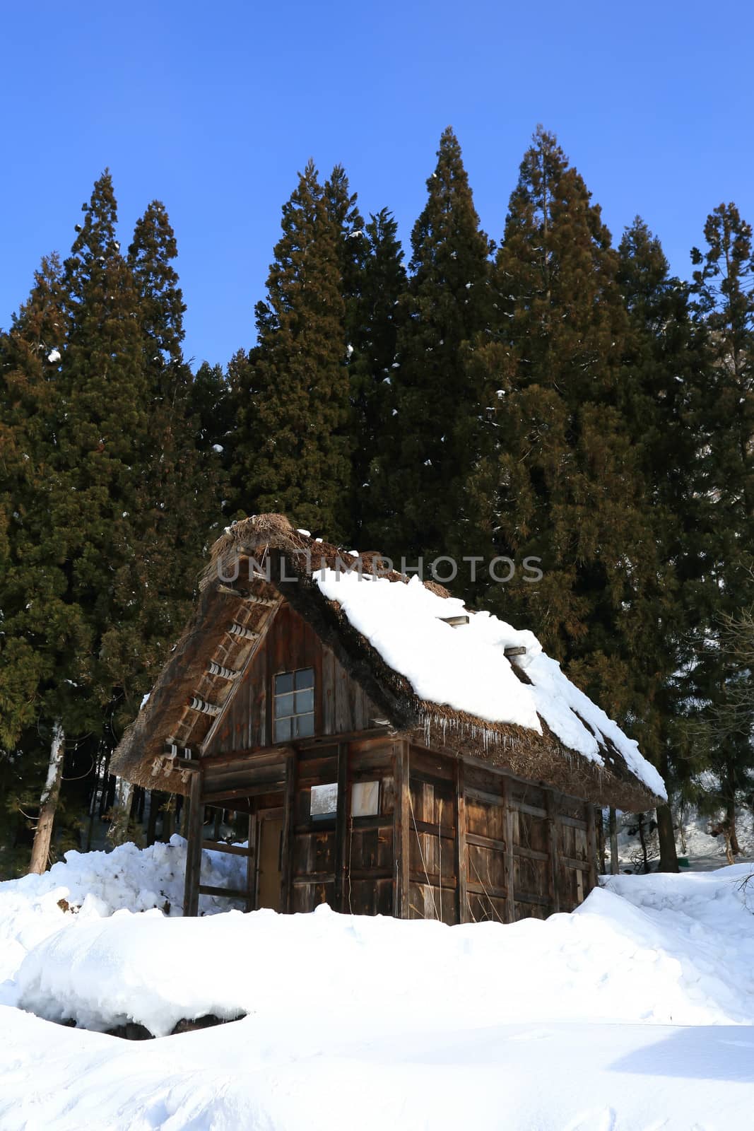 Shirakawa go village hut by rufous