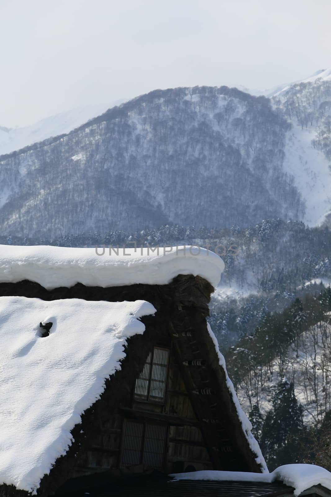 Shirakawa go village hut by rufous