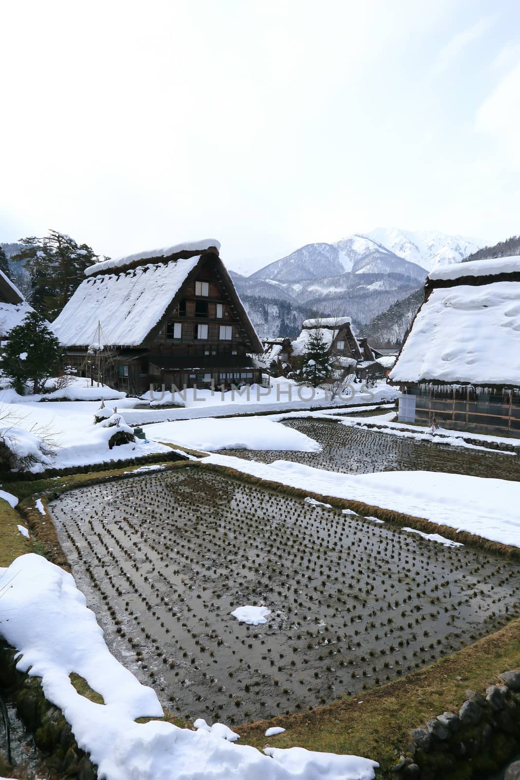 Cottage at Gassho-zukuri Village/Shirakawago:japan