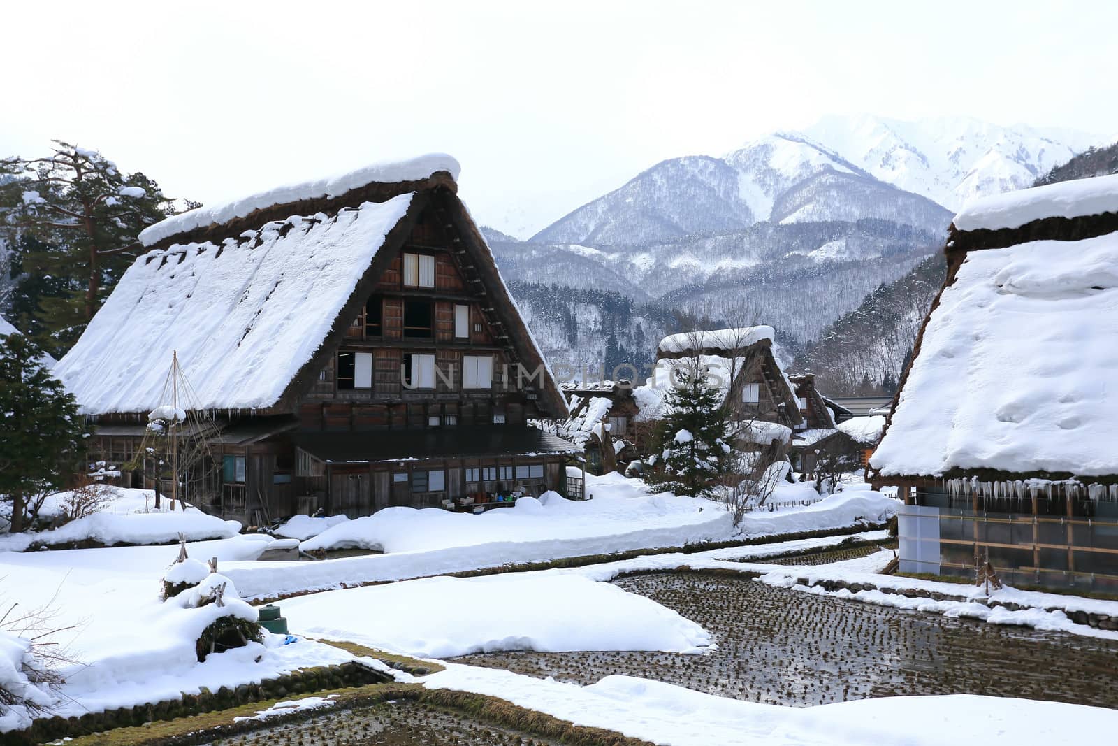 Cottage at Gassho-zukuri Village/Shirakawago:japan