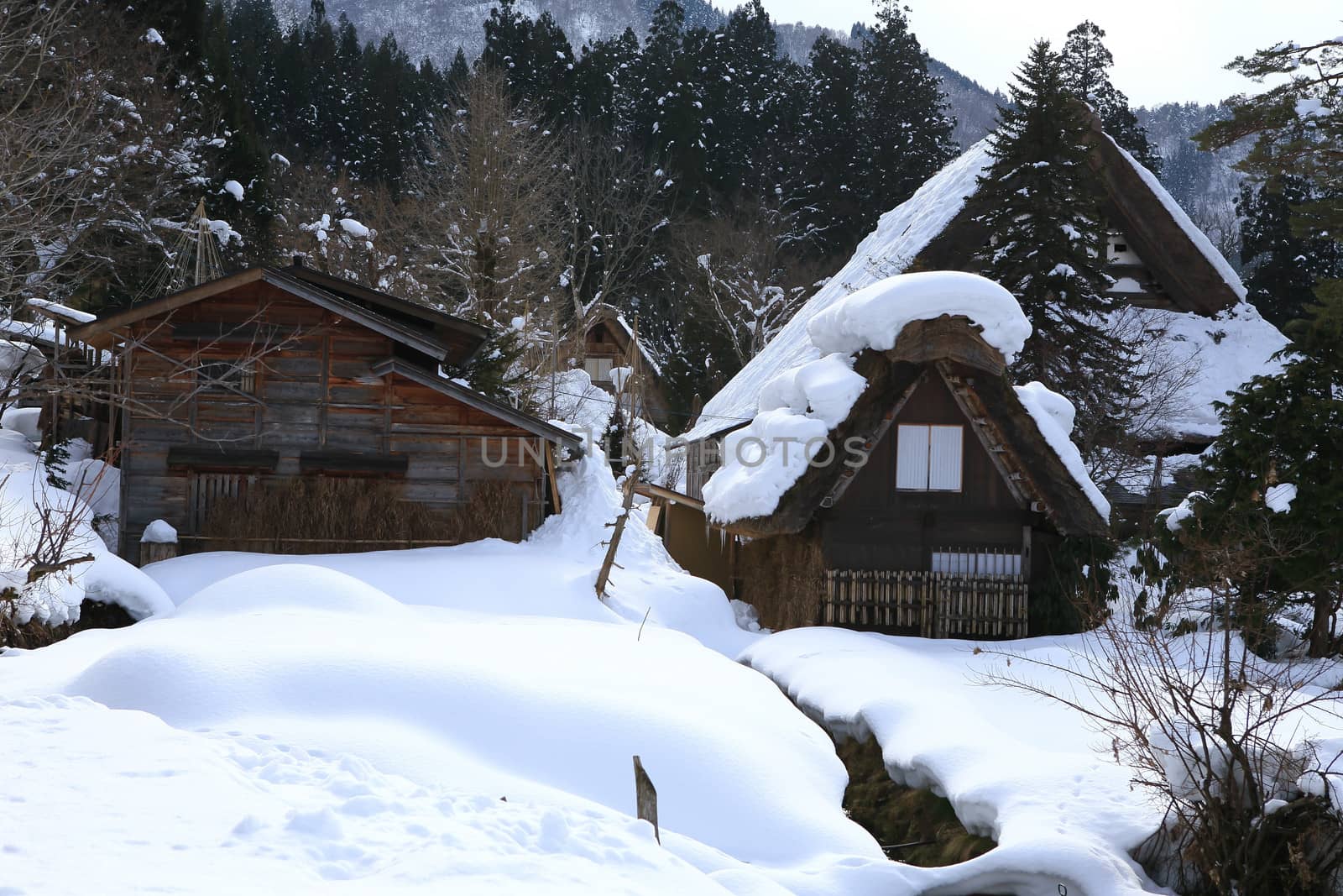 Cottage at Gassho-zukuri Village/Shirakawago:japan