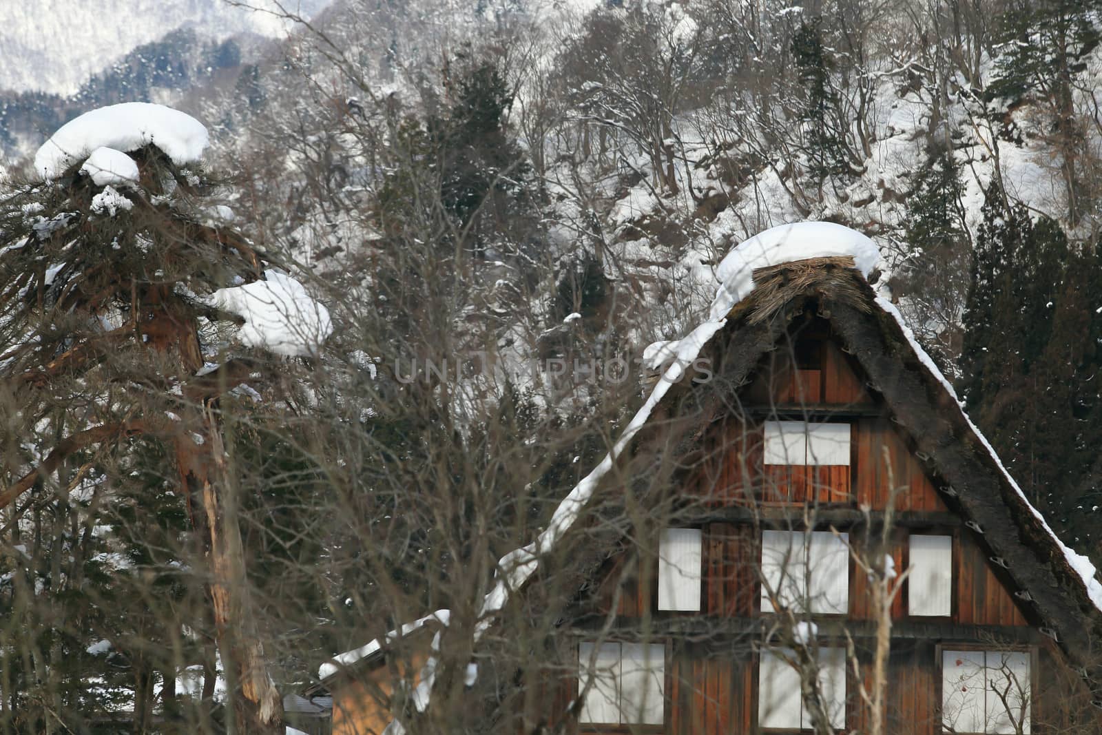 Shirakawa go village hut by rufous