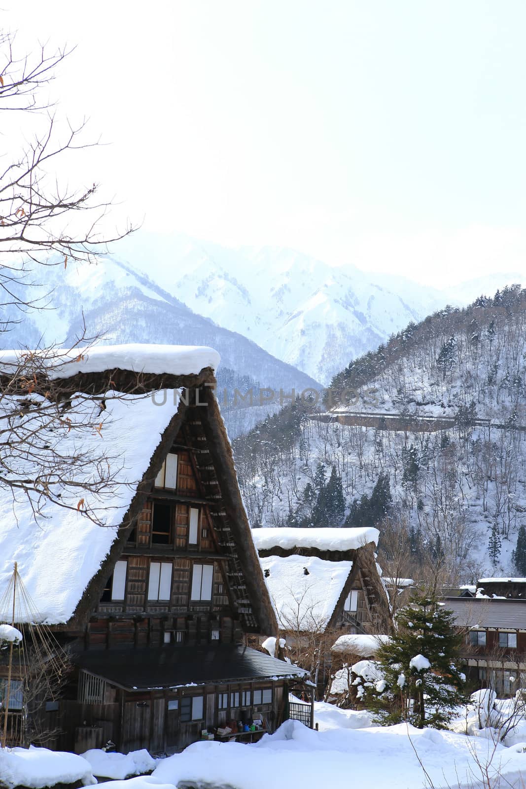 Cottage at Gassho-zukuri Village/Shirakawago:japan