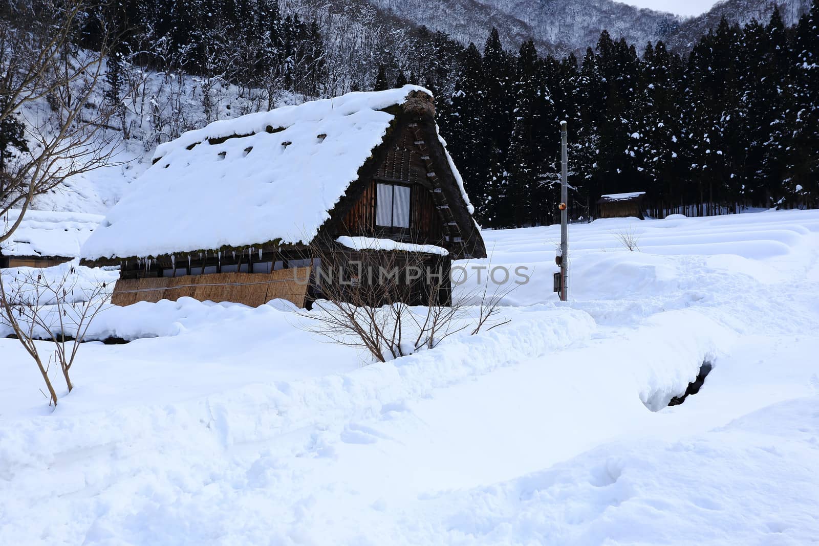 Shirakawa go village hut by rufous