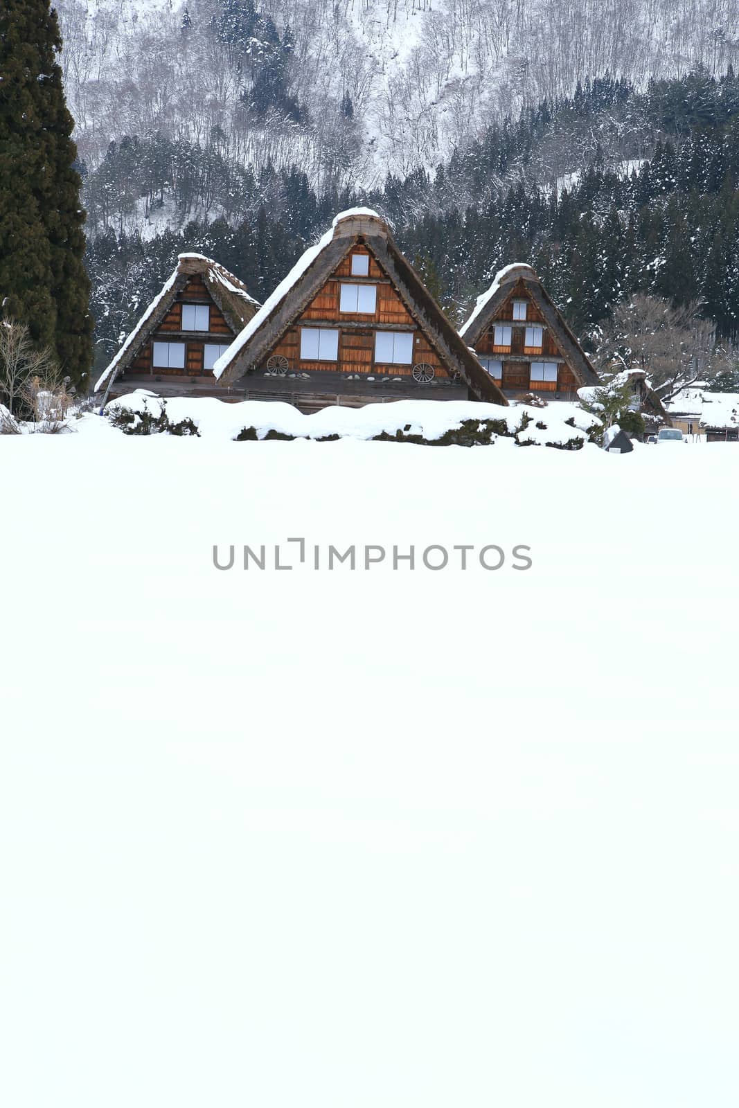 Shirakawa go village hut by rufous