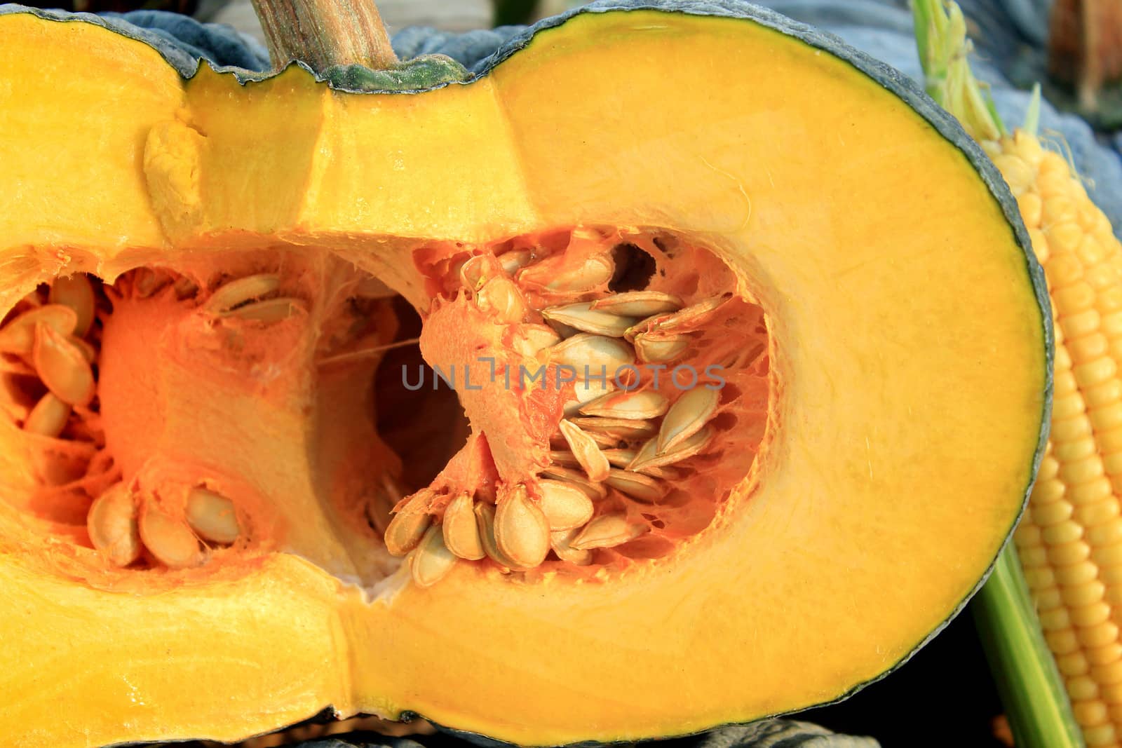 The cut fresh pumpkin