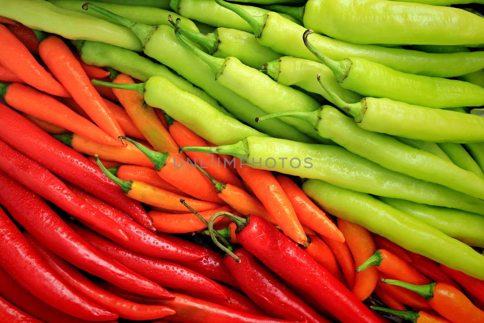 Bunch of organic pappers on the market