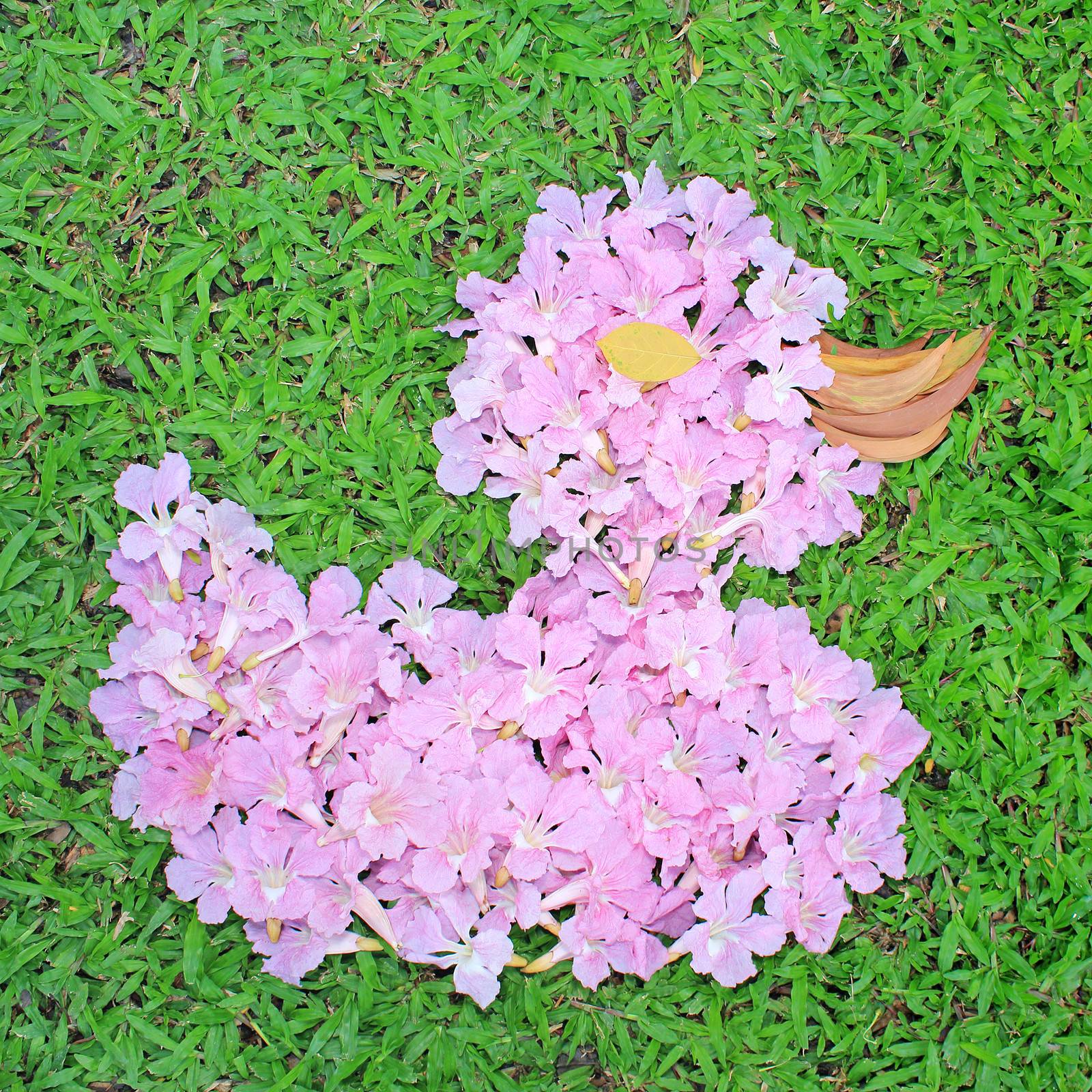 Flower arrangements in the shape of Duck