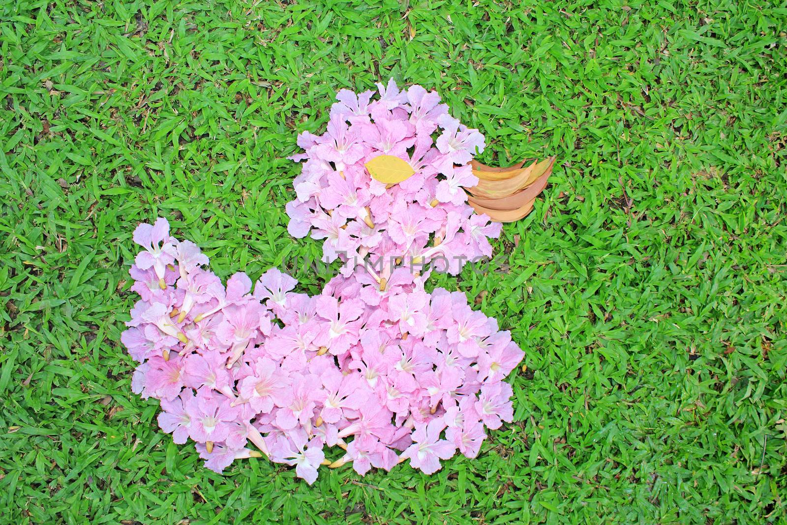 Flower arrangements in the shape of Duck