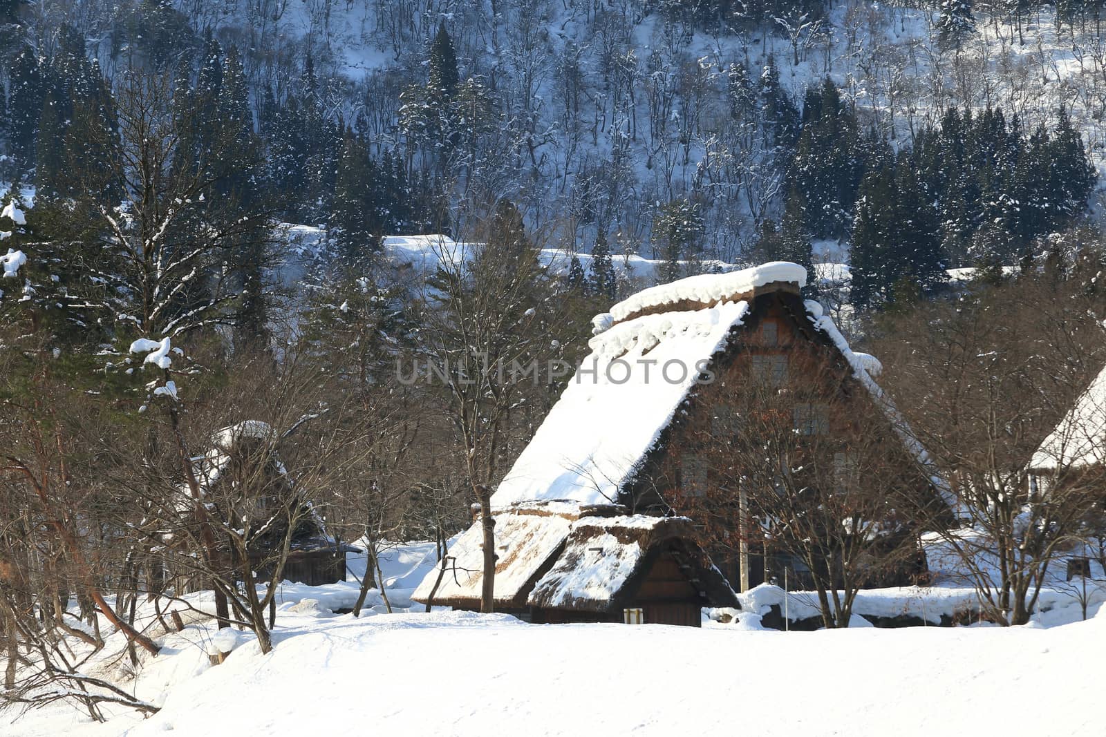 Shirakawa go village hut by rufous