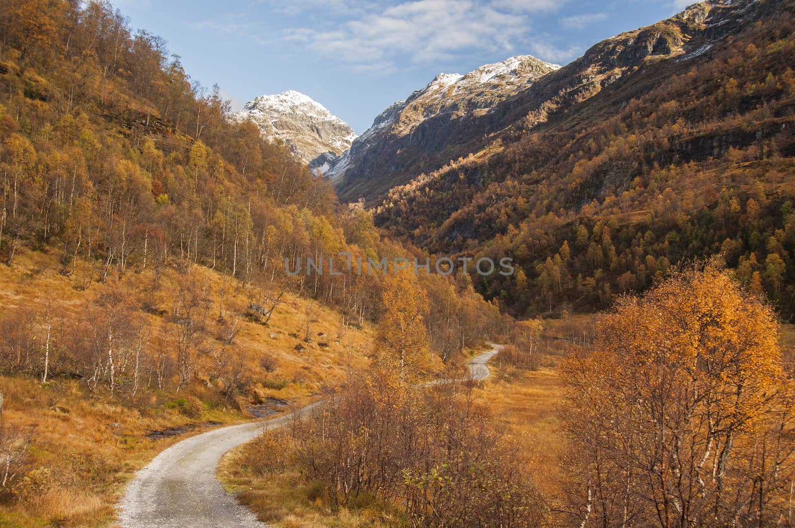 A winding mountain road in autumn