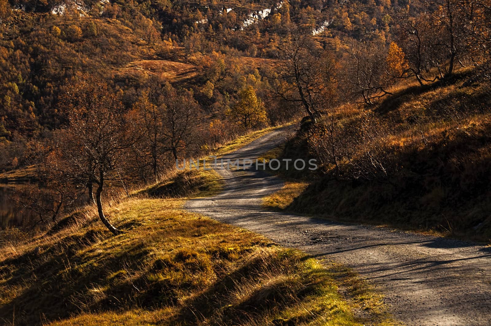A mountain road in the shadows in autumn