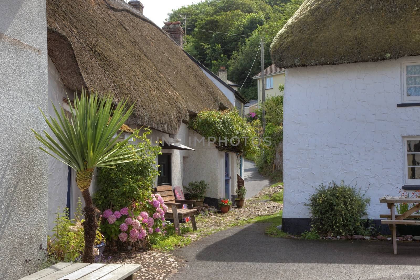 Thatched cottages at Hope Cove, Devon, England.