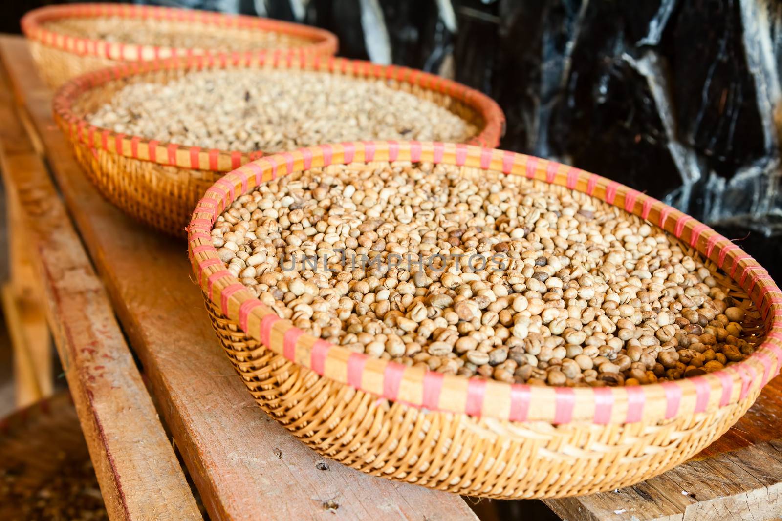 Civet feces with embedded coffee beans - Weasel coffee (Kopi Luwak or Civet coffee)