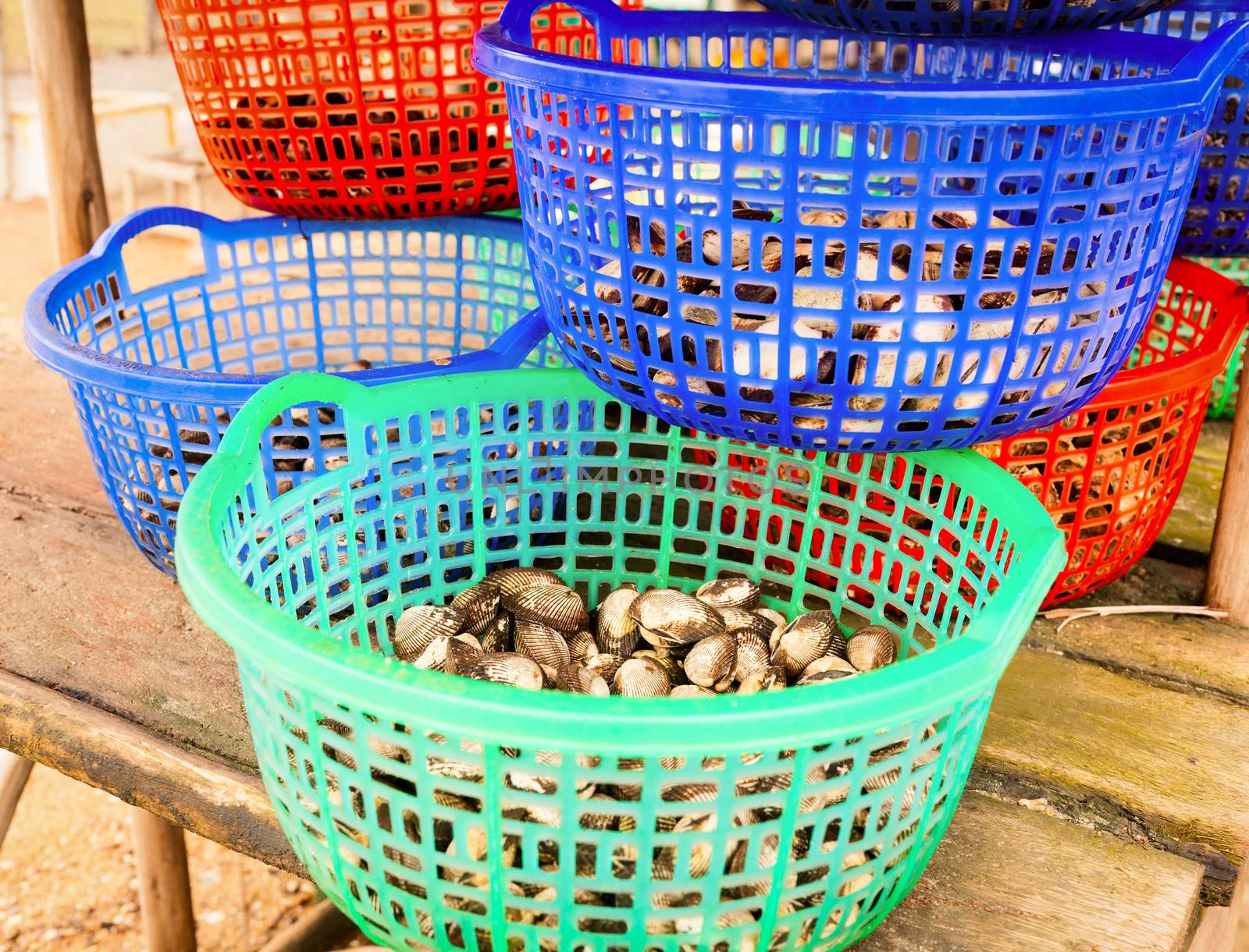 Freshly harvested clams at a market in Vietnam