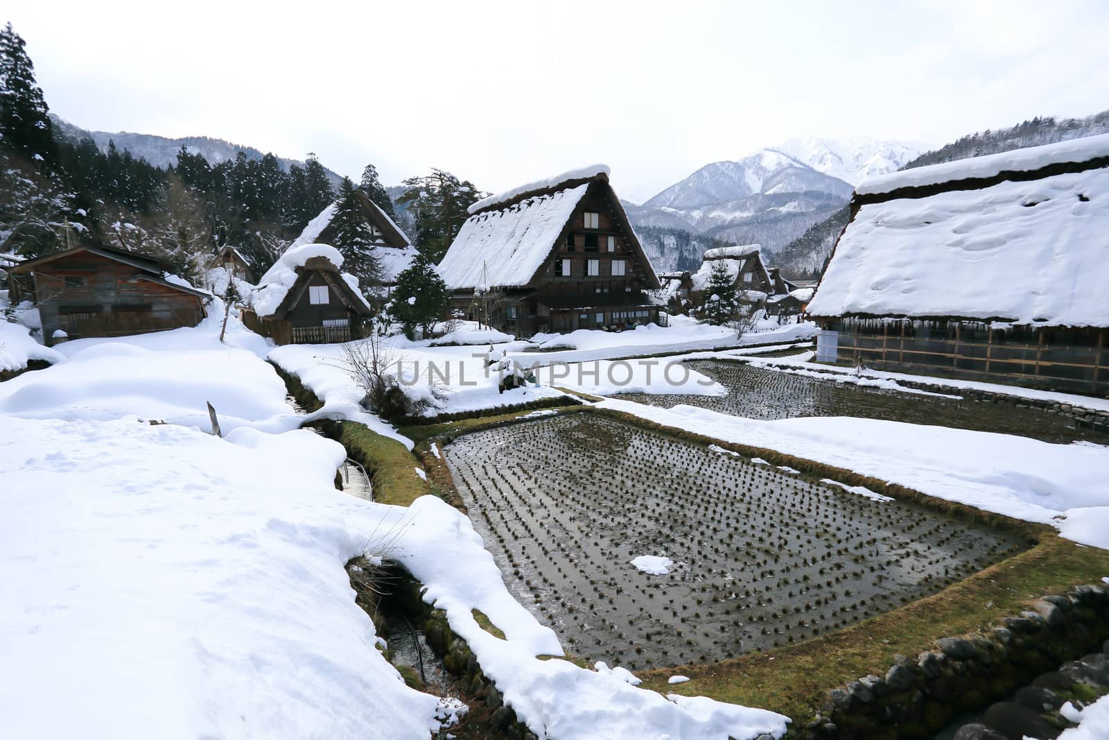 Cottage at Gassho-zukuri Village/Shirakawago:japan