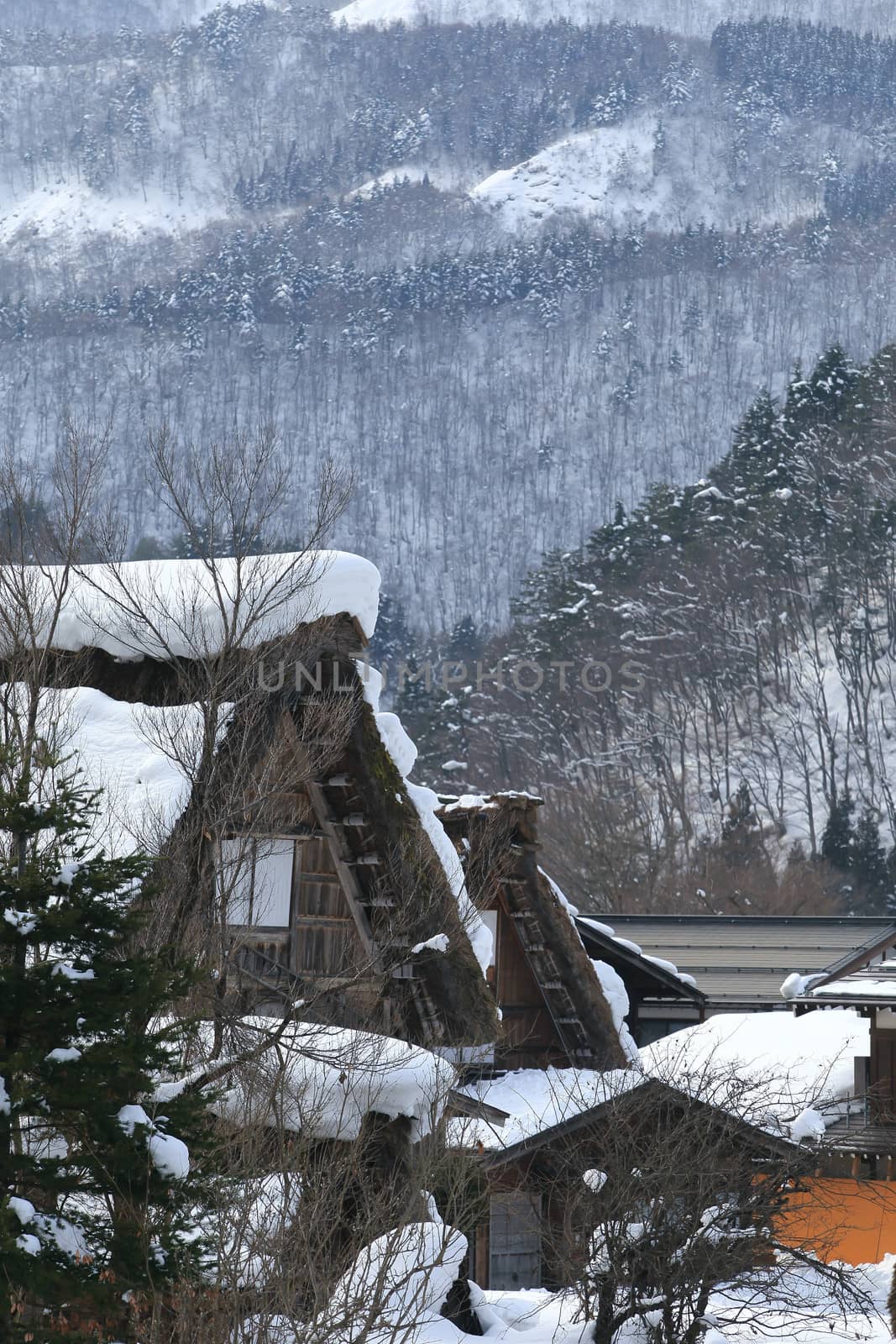 Cottage at Gassho-zukuri Village/Shirakawago:japan