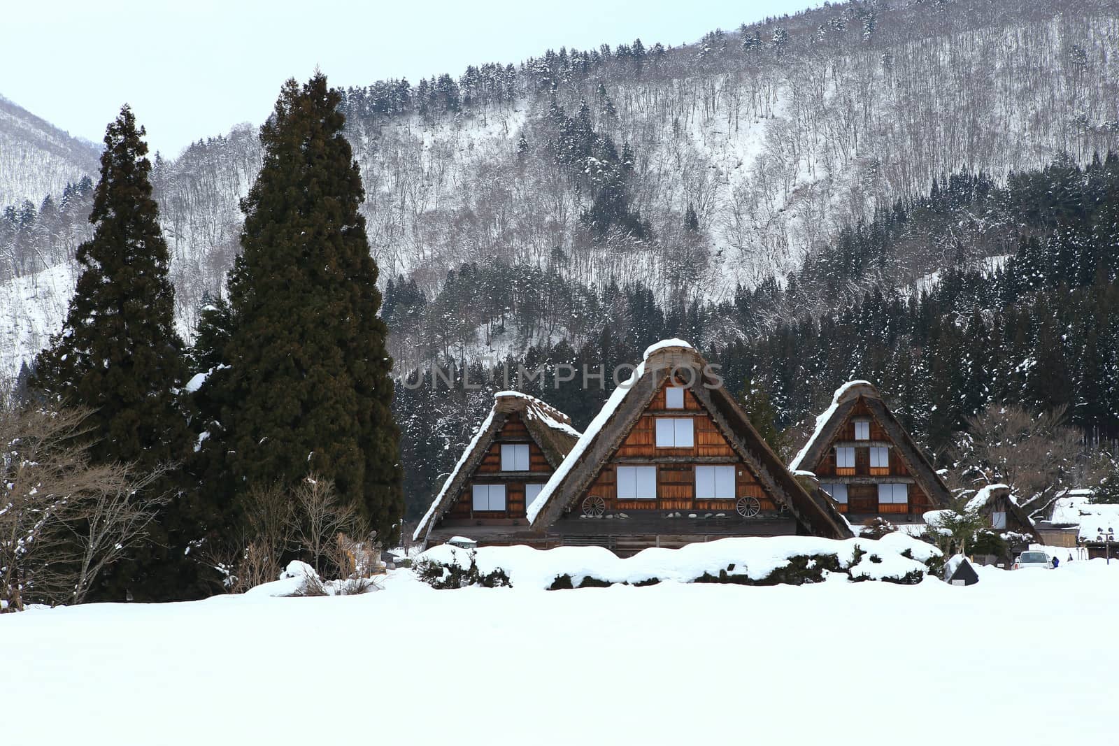 Shirakawa go village hut by rufous