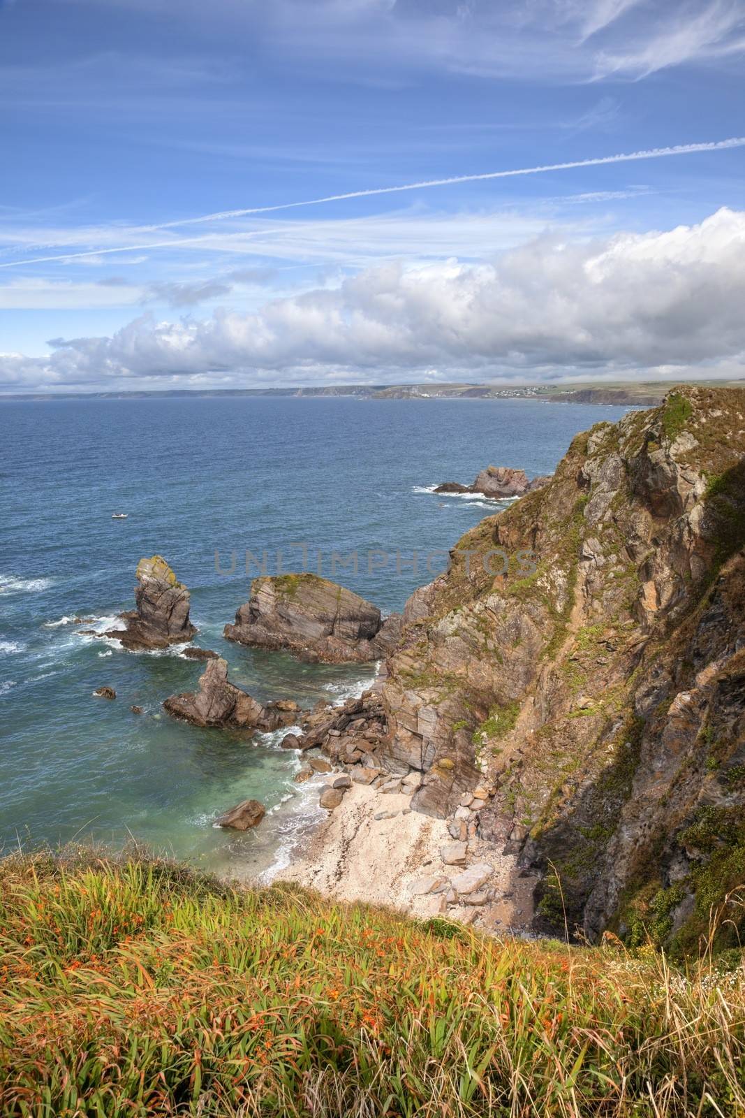 Cliffs at Hope Cove, Devon, England.