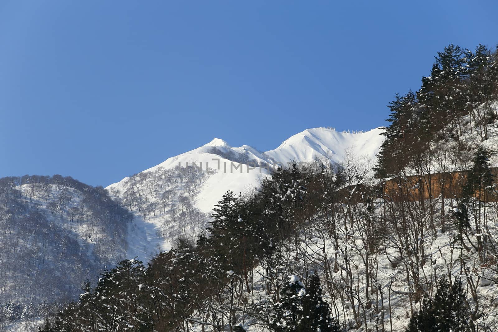 snow covered mountain in Takayama japan