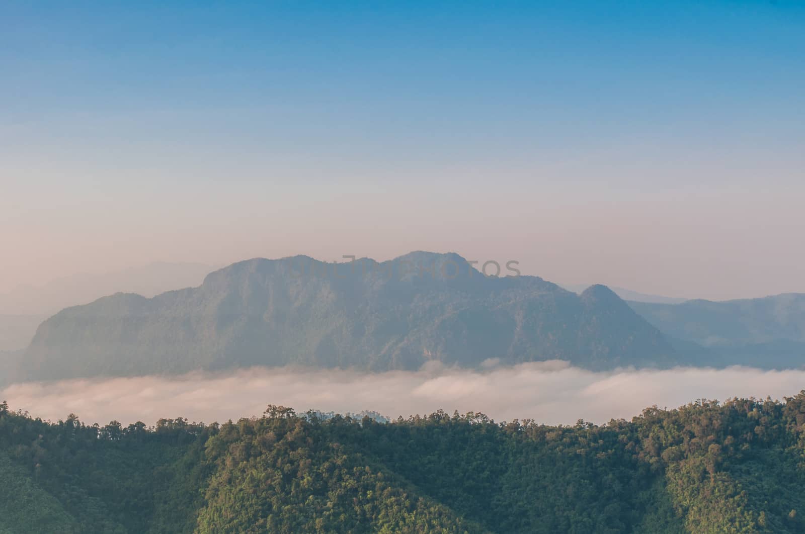 Early morning fog and cloud mountain valley landscape by Sorapop