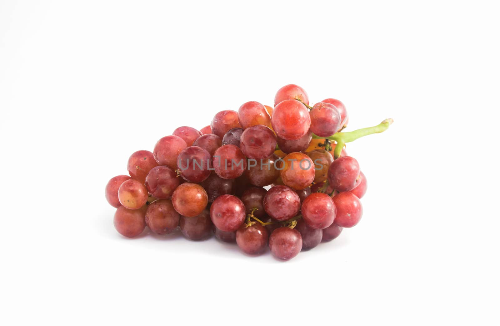 Red grapes fresh with water drops on white background