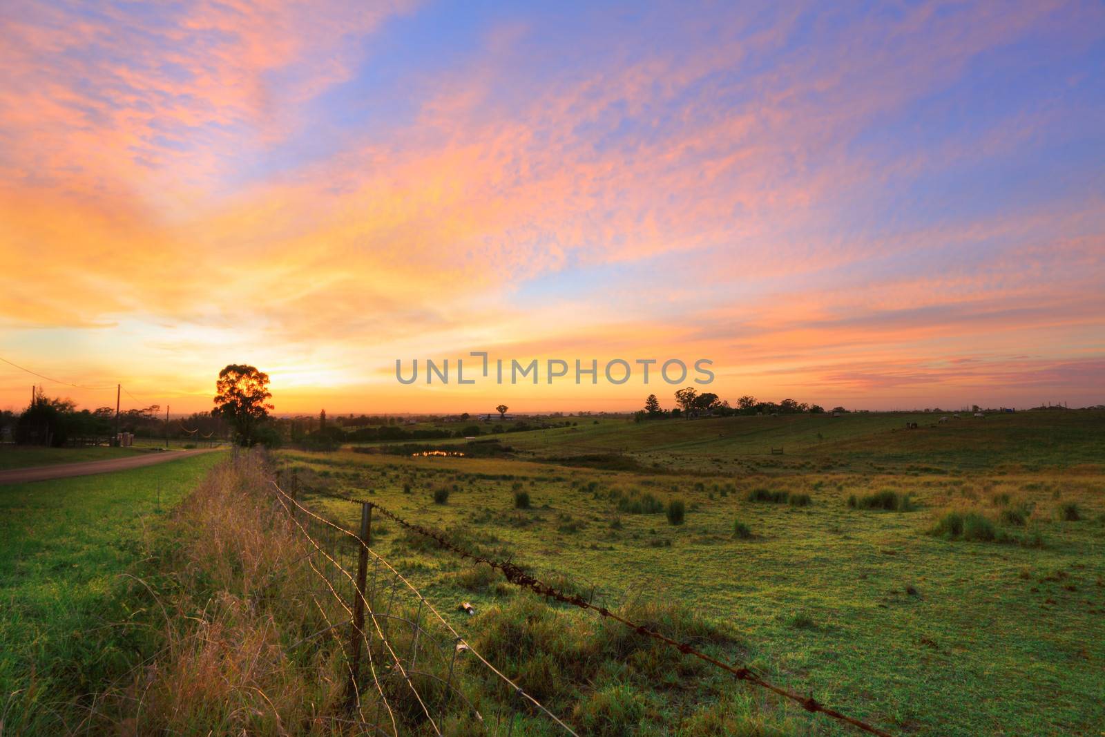 Sunrise throws a warm light over the countryside hills, paddocks and farm sheds.   Orchard Hills, Australia