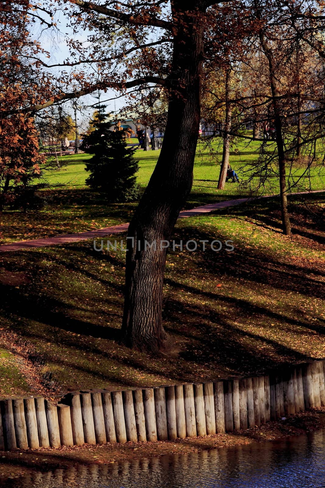 Tsaritsyno ponds, Moscow, Russia by victorych