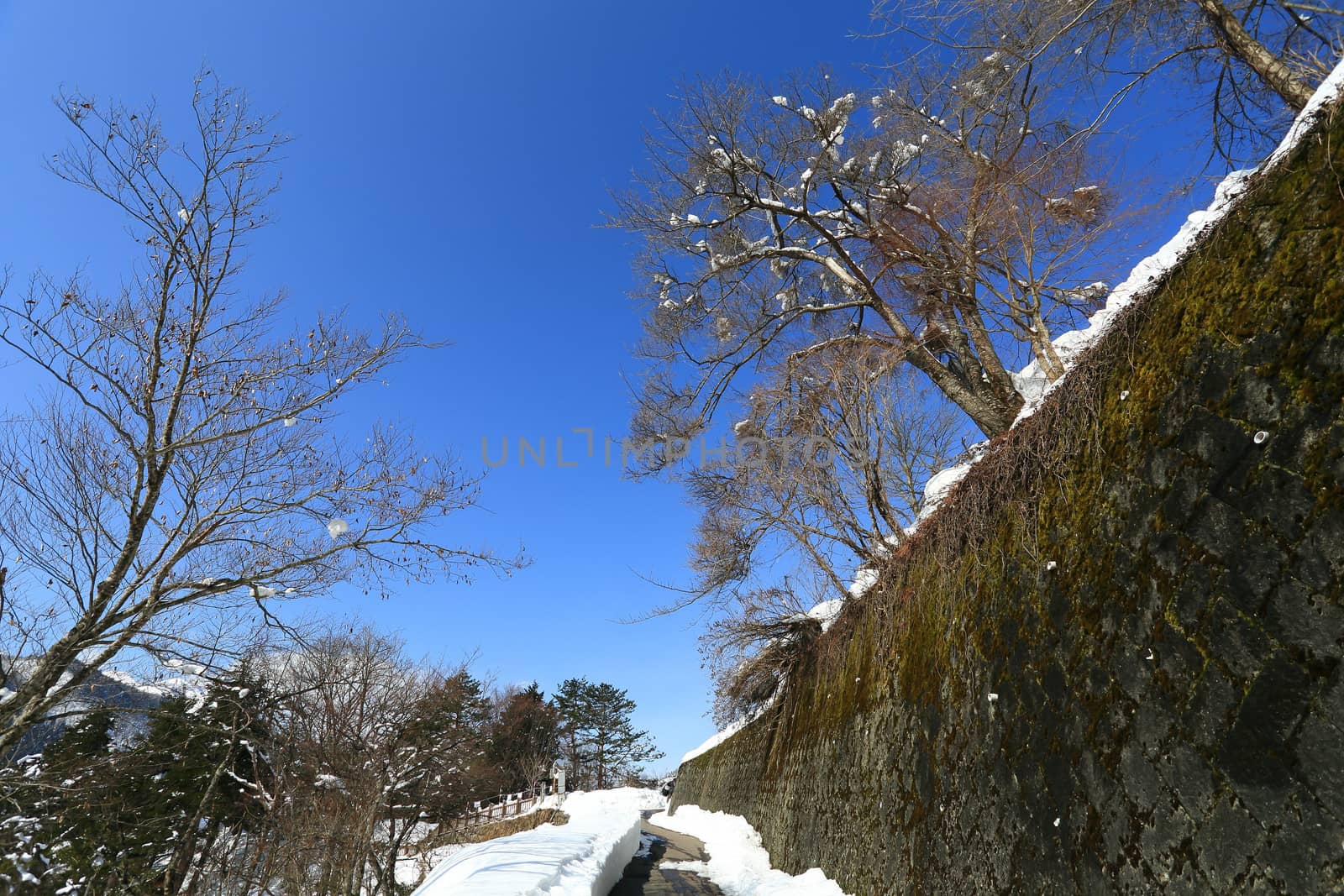An up hill winding road leads people to Shiroyama Viewpoint