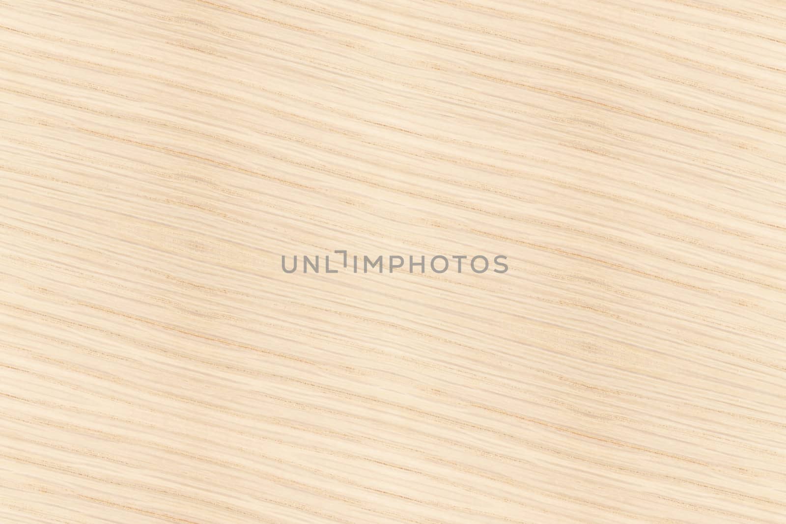 Texture of wood background closeup