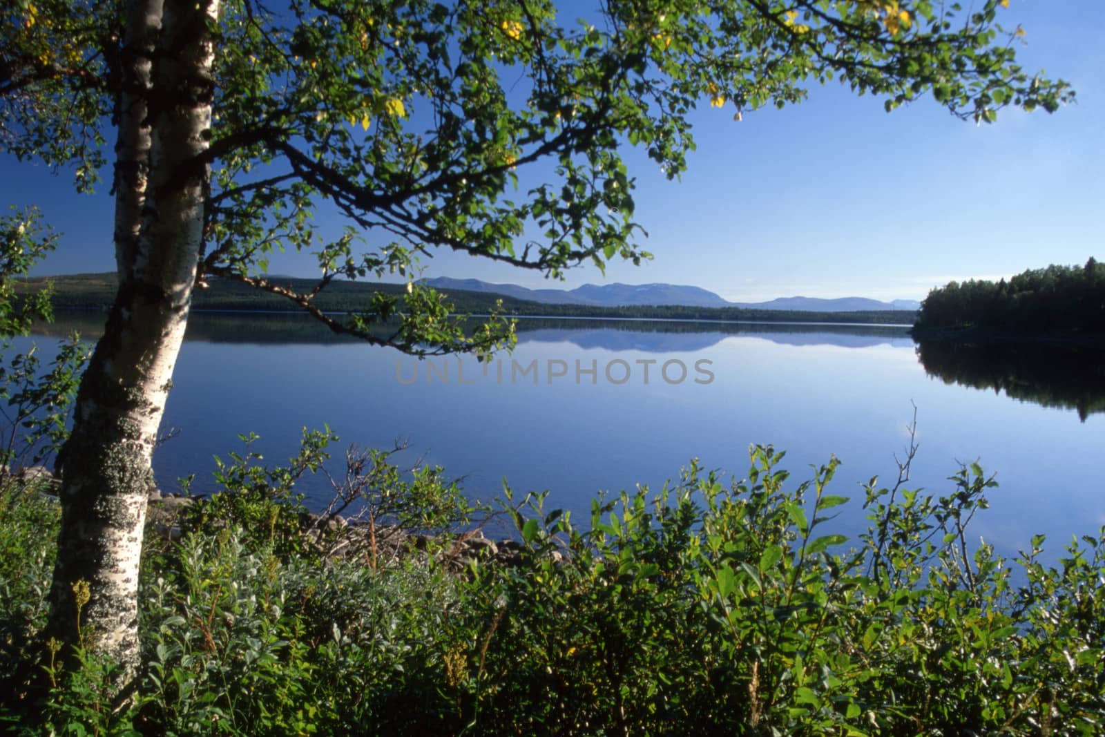 Beautiful lake  landscape in Sweden