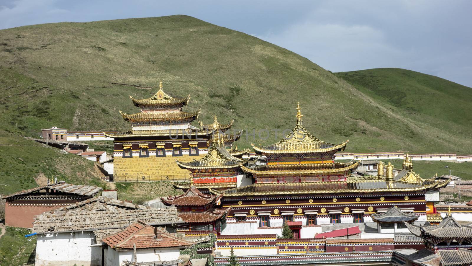 Golden roof of Langmusi temple , sichuan, china 
