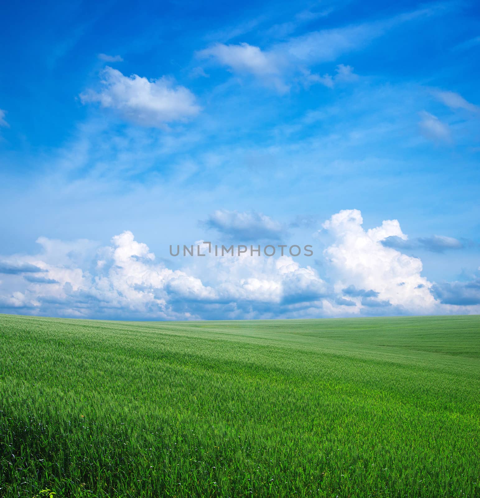 green field and blue sky

