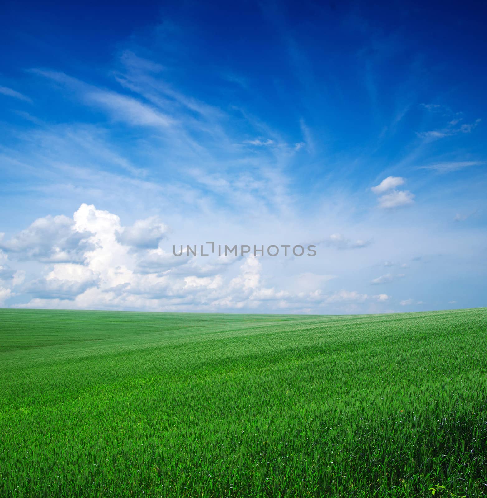 green field and blue sky

