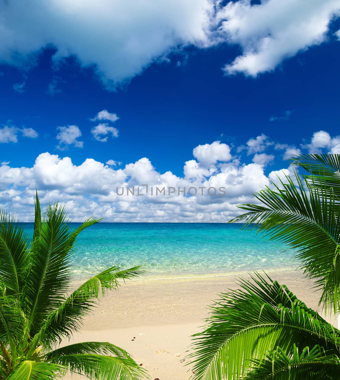 beautiful beach and tropical sea