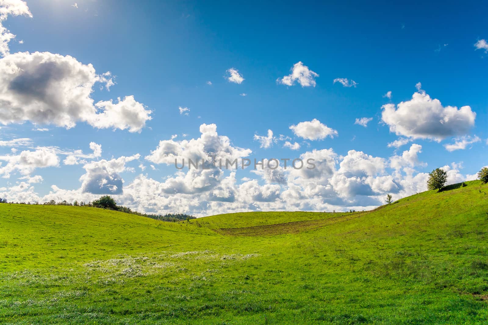 Spring landscape with green meadow, in background visible blue sky with clouds.