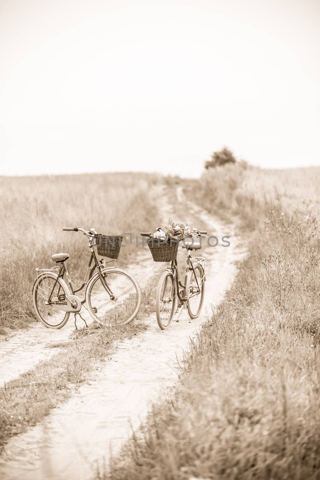 Photo presents two classic bicycles parked on dirt road, in one of bikes visible bunch of wild flowers, sepia photo.