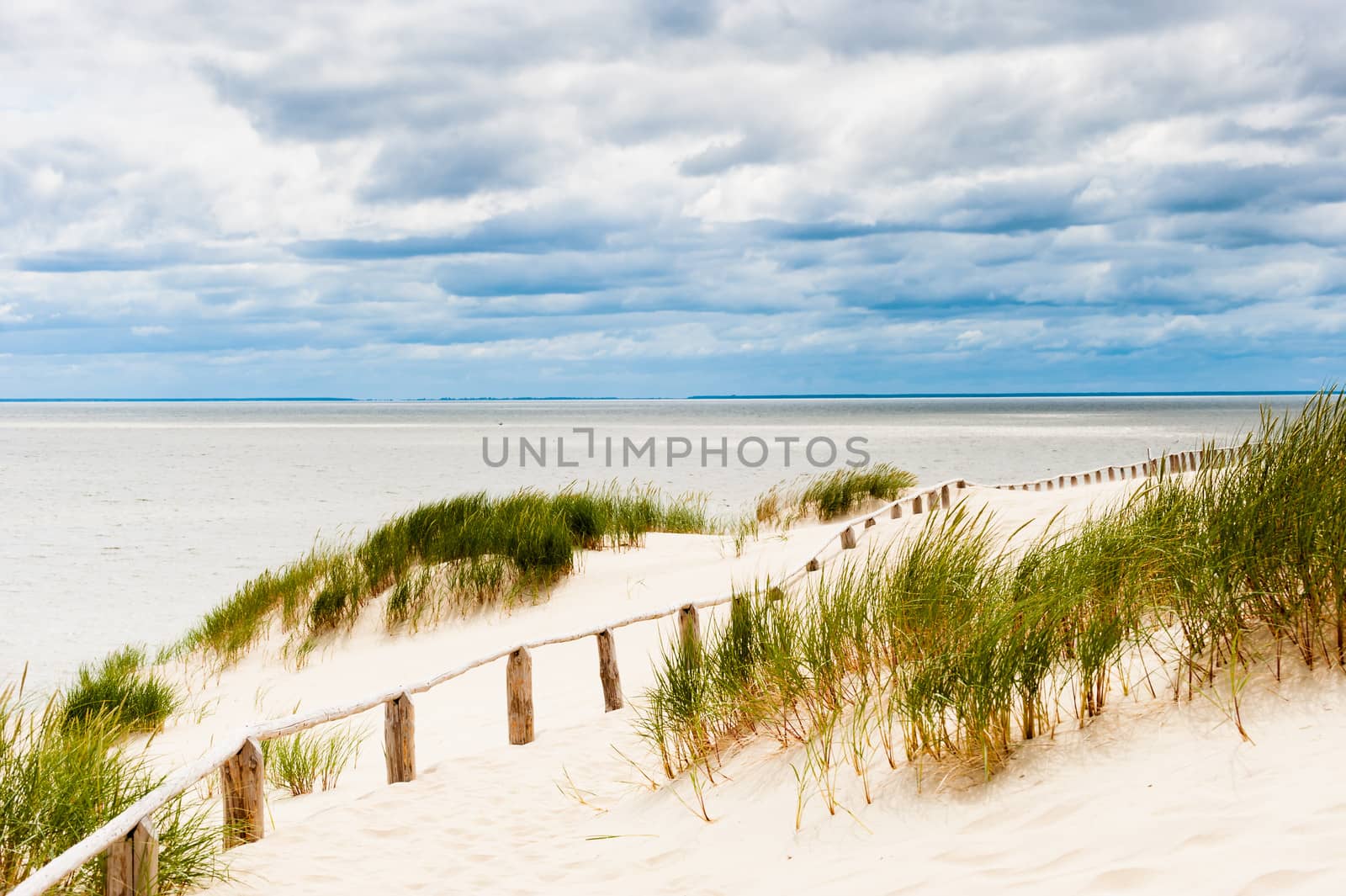 Dune by sea with visible wooden fence, green plants and stormy clouds in background, horizontal.