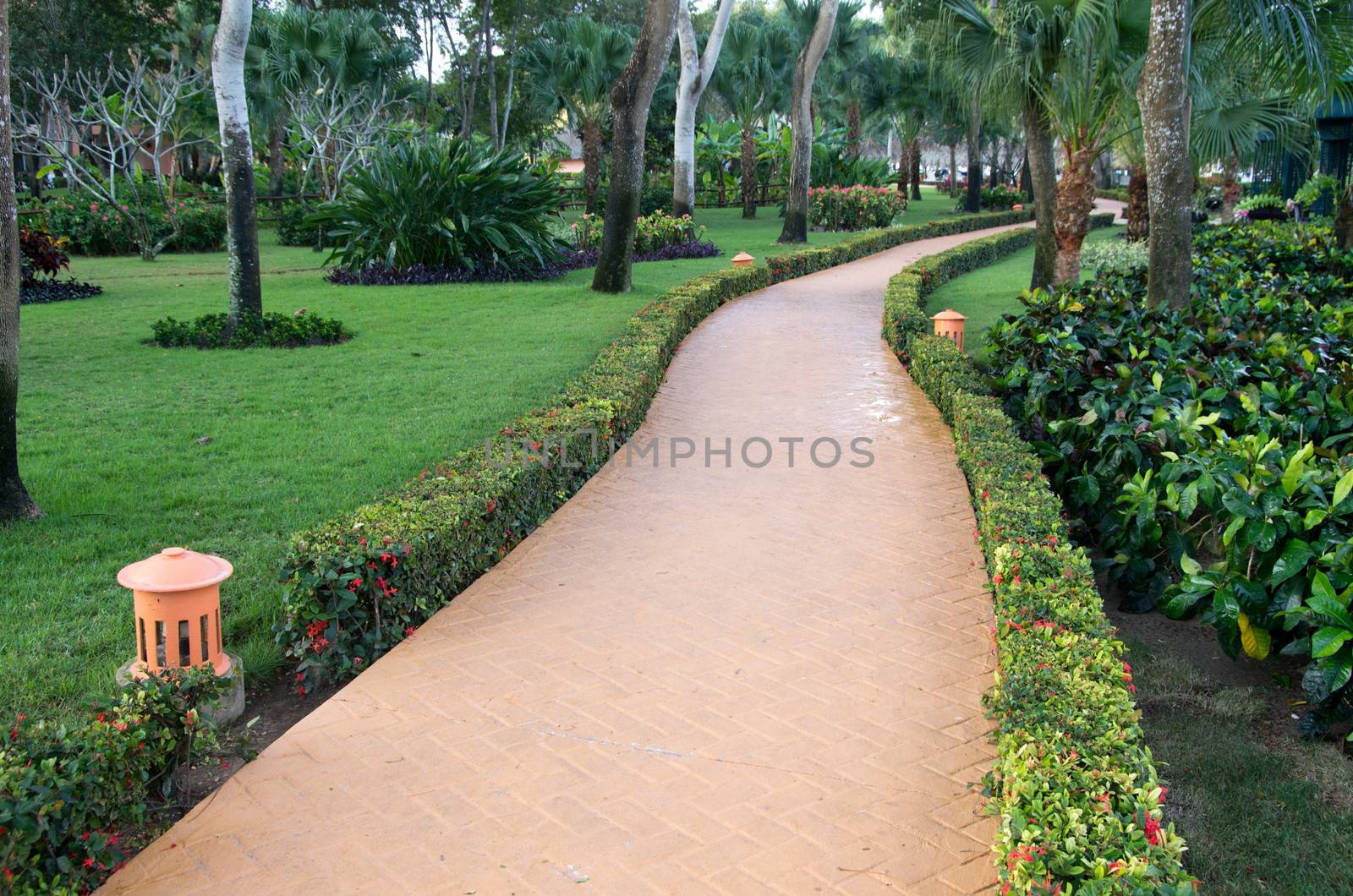 Garden stone path with grass