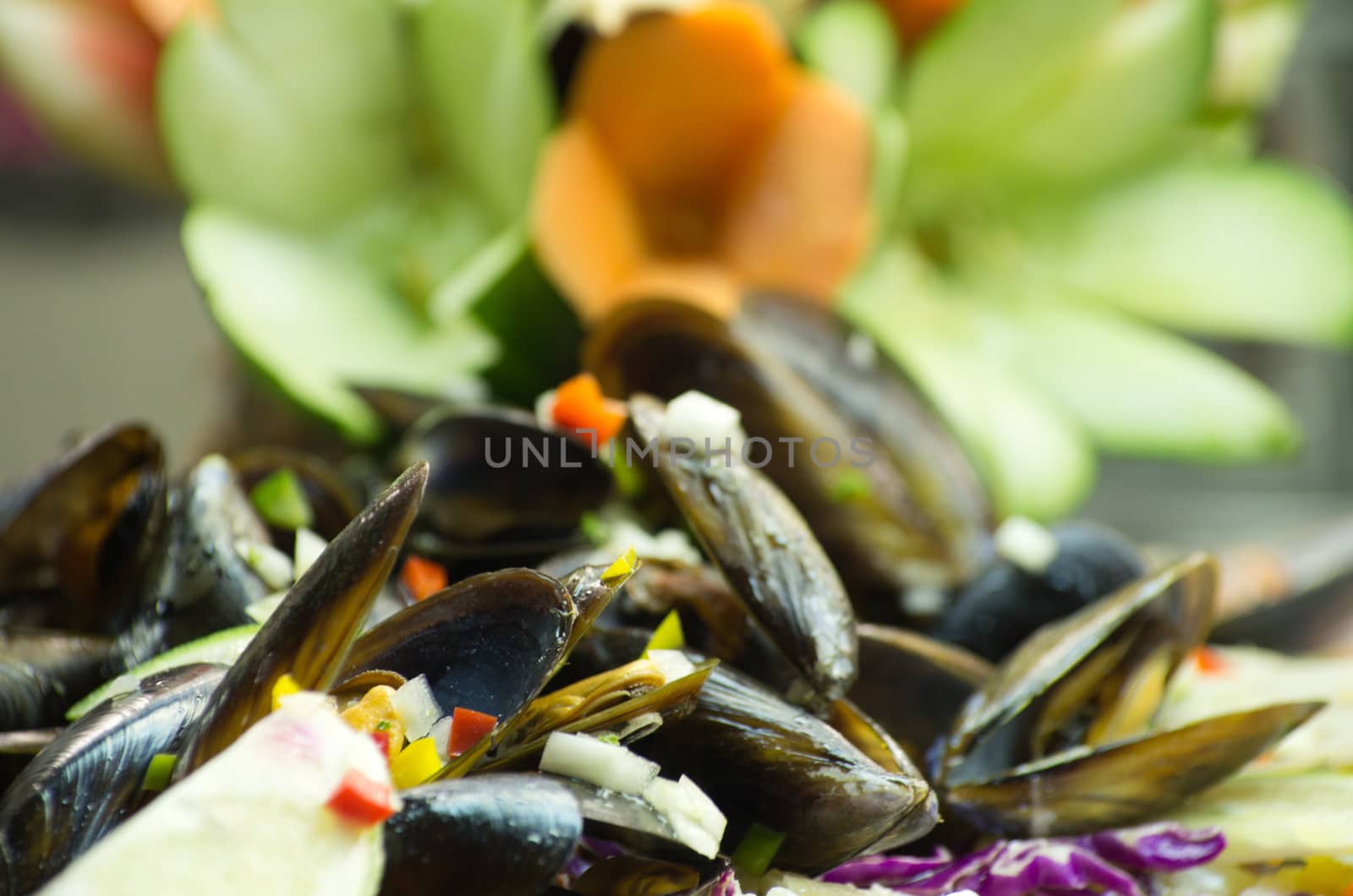 Salad from a mussel with fish and vegetables