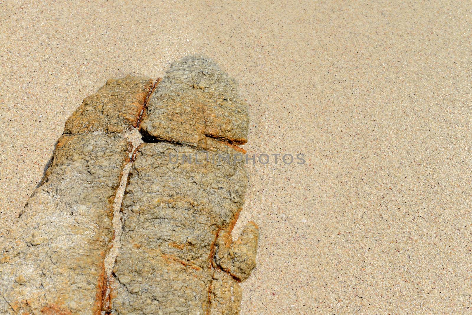 Sand beach rocks beautiful pattern and texture 