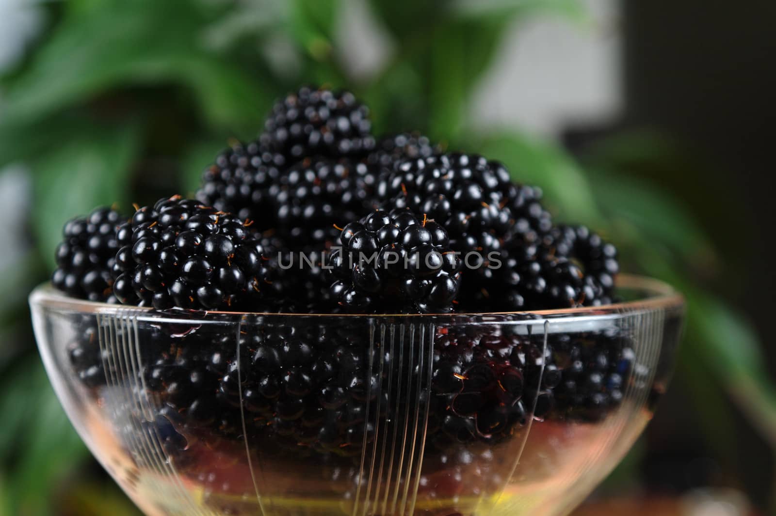 ripe mulberries in a glass bowl