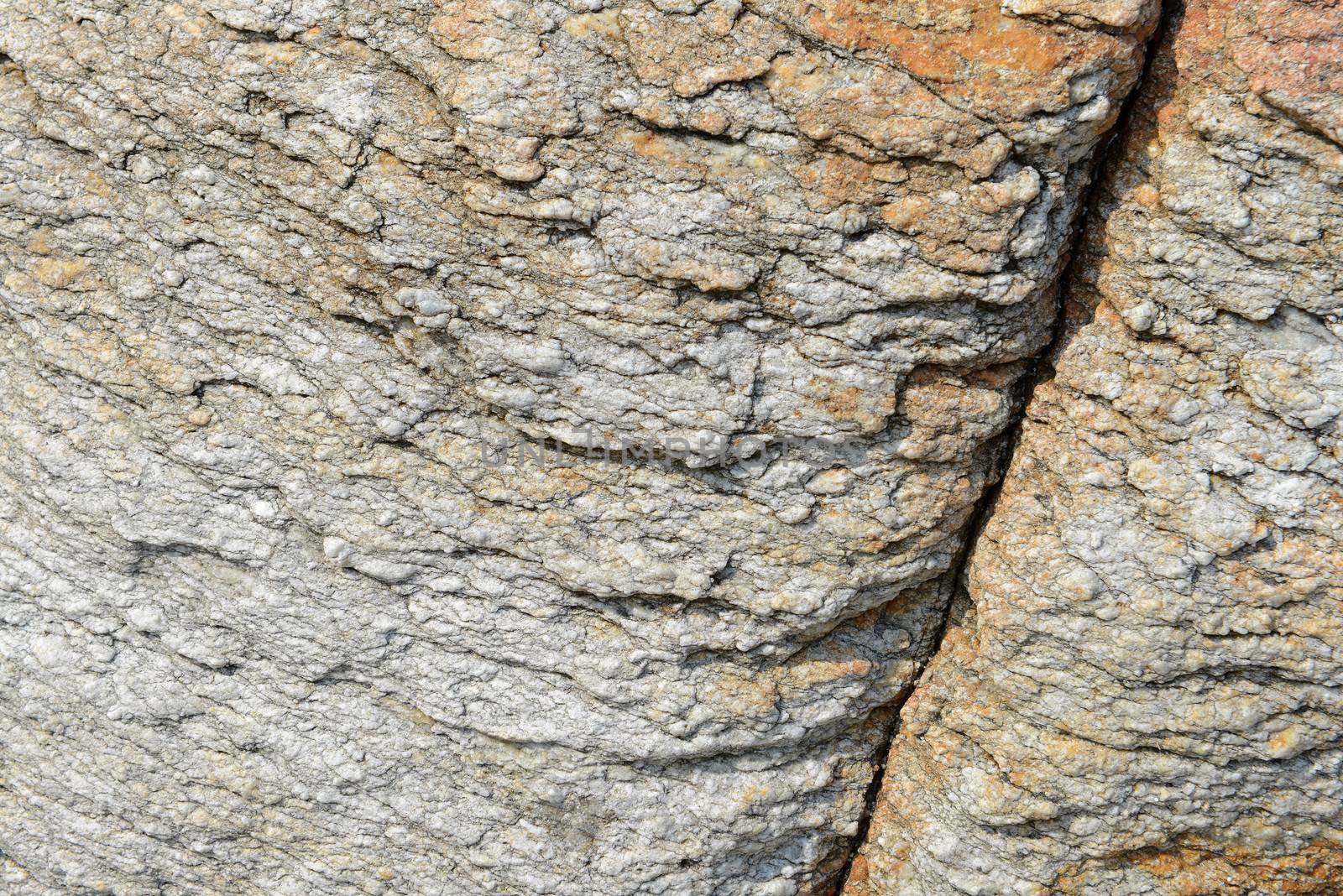 beautiful pattern and texture in Stone at the coast 
