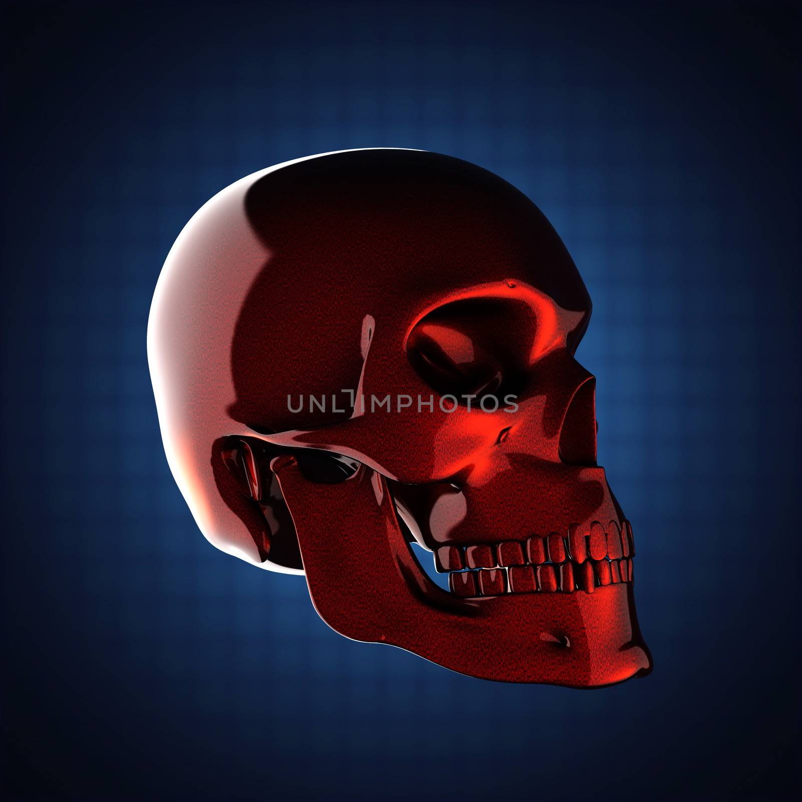 metal skull on blue background