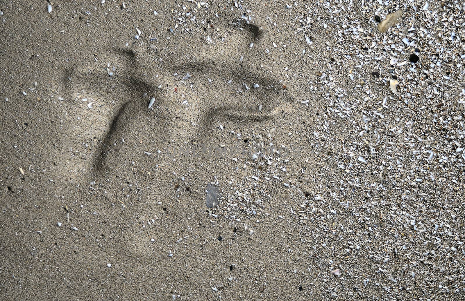 Crosses carved in the sand from water wave made in 3d software