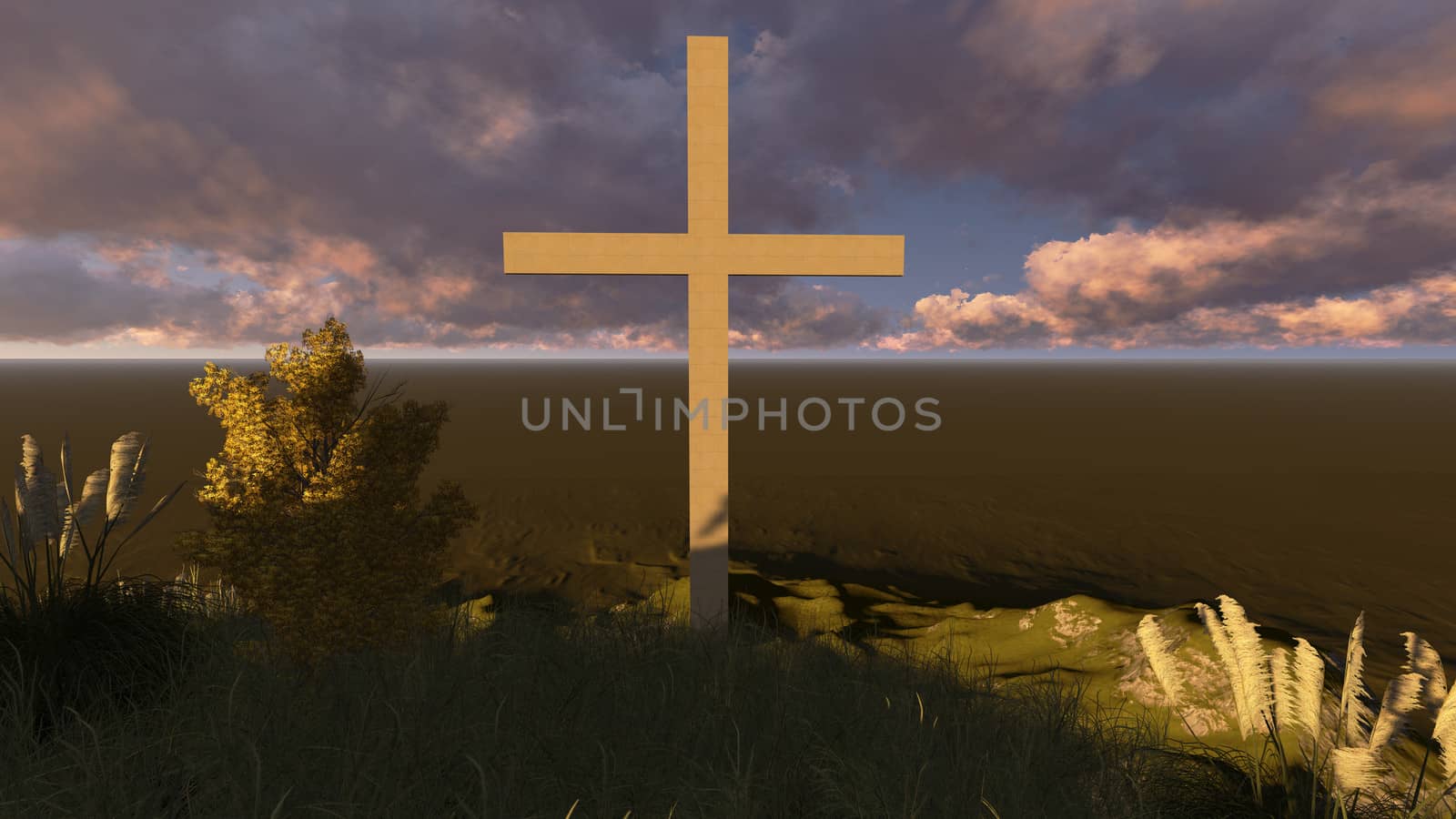 Crosse at Sunset by vitanovski