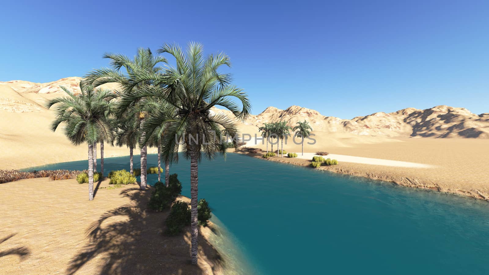 Oasis in the desert made in 3d software