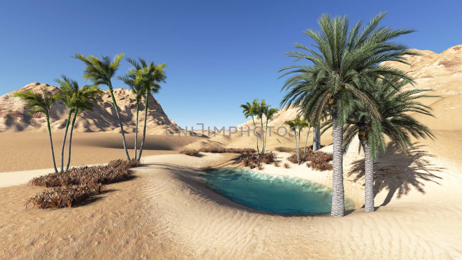 Oasis in the desert made in 3d software